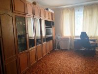 Продается отличный дом в с. Митяево Н-257575-1