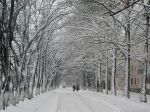 Миниатюра : Зима на Курортной улице