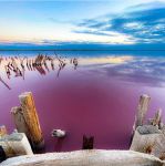 Миниатюра : Сакское соленое озеро
