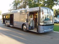 Низкопрофильные автобусы в Симферополе бесполезны для инвалидов