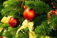 Поздравление Сакского городского головы с Новым годом и Рождеством, 29 декабря 2011