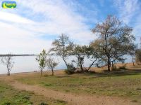 Сакское озеро – базовый резерв Крыма, 19 марта 2012