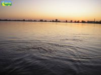 В озере Михайловское запретили купаться, 17 июля 2012