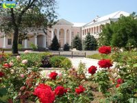 Минкурортов Крыма выпустит каталог о санаториях курорта Саки