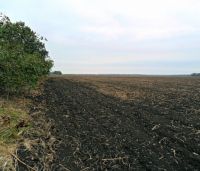 Суд отменил передачу фермерам 80 га земли в сакском районе, 28 ноября 2012