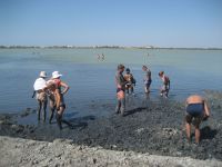 Крымскую лечебную грязь пересчитали, 24 декабря 2012
