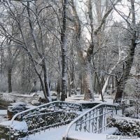Саки - самый перспективный круглогодичный курорт Крыма, 1 февраля 2013