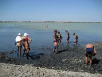 В Крыму создали предприятие «Лечебные грязи Крыма»