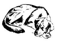 Жестокое обращение с бездомными животными в Саках, 28 июля 2014