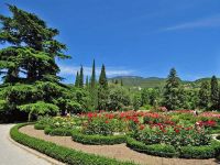Никитский ботанический сад открывает маршрут для колясочников