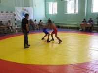 В Саках состоялся Фестиваль спортивной борьбы, 3 июля 2017
