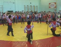 В Саках прошел фестиваль спортивной борьбы Saq Kuresi, 2 июля 2018