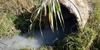 В Саках в озера Чокрак и Ковш незаконно сливают отходы, 8 ноября 2018