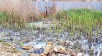 Почему сбросили сточные воды в озеро Чокрак