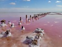 В Крыму начался сбор розовой соли