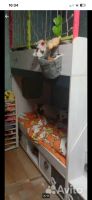 Кровать двухъярусная А-34724-2