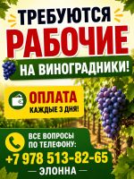 Работа на виноградниках Р-95516