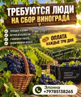 Работа на виноградниках Р-95741