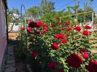 Продается отличная квартира на земле в городе Саки Н-274690-2