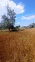 Участок по ул. Крымская Н-274768-2