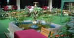 Миниатюра : Саки 2006, в кафе
