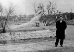 Бронтозавр, 1967 г.
