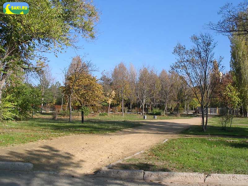 Парк около Бурденко