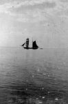 Море 1903 год