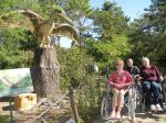 Миниатюра : Парк динозавров