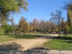 Парк около Бурденко