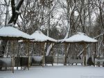 Саки в феврале, снег