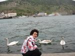Миниатюра : Молодые лебеди в Балаклавской бухте