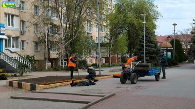 Клумба в виде георгиевской ленты, 6 мая 2026