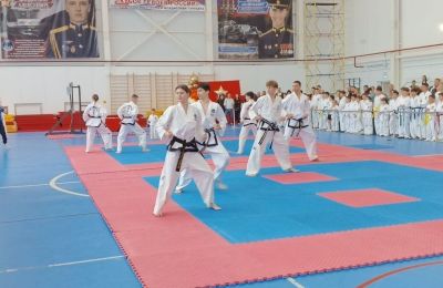 Турнир по тхэквондо Кубок Героев, 31 мая 2026