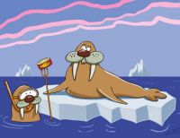 Сакские моржи открывают сезон, 16 ноября 2010