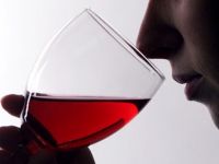 Тематическая дегустация вин в Евпатории