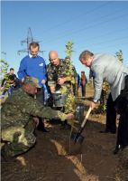 В селе Червоное Сакского района Анатолий Могилев посадил саженцы клена