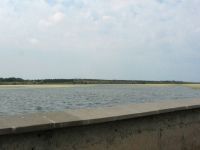 Зацвело буферное озеро, 2 июня 2014