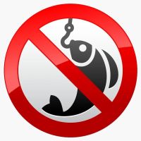 Запрет на лов пресноводной рыбы на 2 месяца