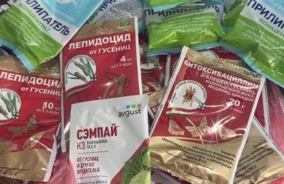 Курортный парк закроют на обработку, 17 мая 2025