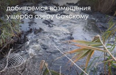 Оценён ущерб от сброса сточных вод в озеро, 3 июля 2025
