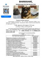 14 апреля 2024 постер #1040