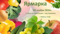 2 ноября 2024 постер #1202