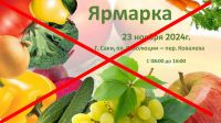 Ярмарка отменена! постер #1218
