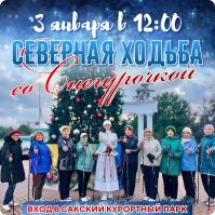 3 января 2025 постер #1249