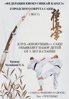 Карате в Саках постер #41