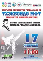 Турнир по Тхэквондо постер #48